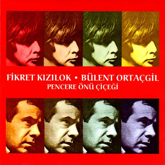 Pencere Önü Çiçeği