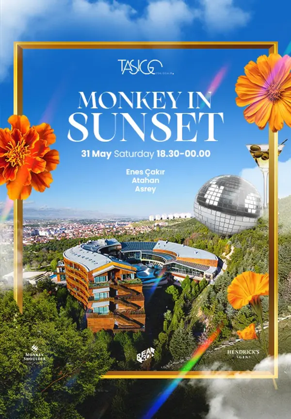 Monkey in Sunset thumbnail