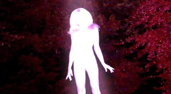 Sidewalks And Skeletons thumbnail