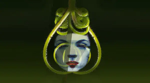 Kozmoz Sanat Halkları thumbnail