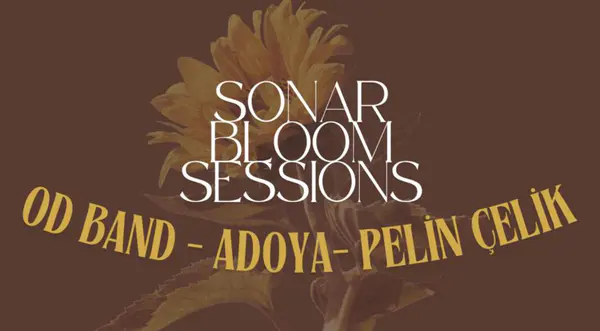 Sonar Bloom Sessions thumbnail